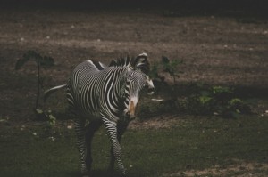 [分析]“沐沐福建麻将怎么开挂”(原来确实是有挂)