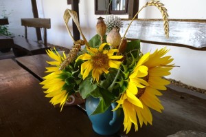 [分享]“泸州大贰真的有挂吗”原来可以开挂