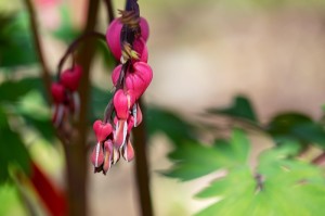 ［最新分享］“美猴王炸/金/花开挂神器”［太坑了原来有挂］