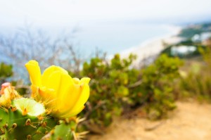 【第一资讯】“新人海炸/金/花是不是有挂”［太坑了原来有挂］