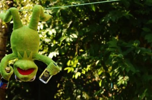 最新消息.“功夫熊猫牛牛有挂没有吗”其实真的有挂