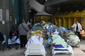 重大通报.“墨韵麻趣其实是有挂的”猫腻万能辅助器