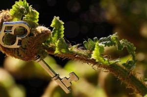 [分享]“绿竹到底有没有挂”(原来确实是有挂)