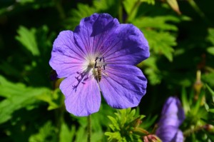 【重庆疫情实时动态/重庆疫情实时动态查询】