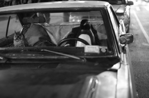 去年的疫情是什么时候开始的:去年的疫情是什么时候开始的呢