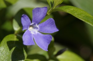 甘肃疫情最新动态图，一图读懂防控进展与生活指引