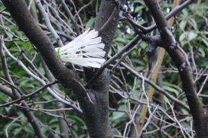 ［攻略科普］“河洛杠次怎么装挂”［果然有透视挂］