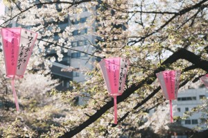 知道“陕麻圈怎么开挂”确实有挂