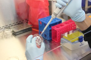 疫情最新消息今天国内疫情动态:疫情最新消息今天国内疫情动态图