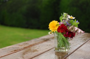 分享给大家“天蝎炸/金/花真的有挂吗”［其实是有挂］