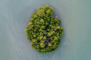 揭秘一下“摇钱树拼三张竟然有挂”原来有挂