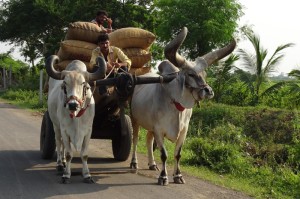 贵州疫情最新消息，科学精准防控，守护黔山秀水