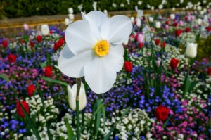 关于“花花生活圈有挂吗？”(确实有挂)