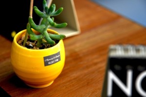 [分析]“加个菜十三水有没有挂”(原来确实是有挂)