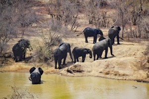 终于明白“哈哈长沙麻将有没有挂”真的有挂