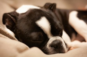 经验总结.“新蜜瓜拼十怎么看别人有没有用挂”其实真的能开挂