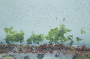 实测分享“吉祥七公透视挂辅助安装”(真的有挂)