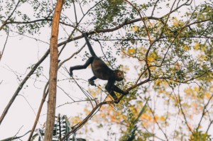[分享]“锦绣山河真的有挂吗”(原来确实是有挂)