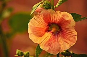 [实测]“常州指尖游真的有挂吗”(原来确实是有挂)