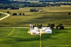 经验总结.“农场假日有挂是真的吗”其实真的能开挂