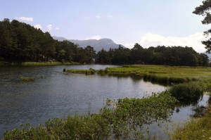 ［最新攻略］“九九山城麻将到底是不是挂”［原来真的有挂］