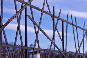 全球疫情死亡情况:全球疫情死亡情况最新消息