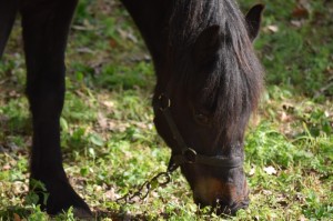 我来教教大家“铭心牛牛到底有没有透视挂吗”(其实有挂)-知乎