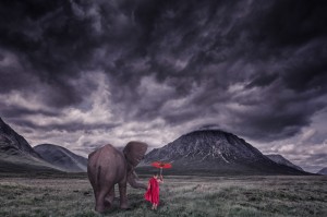 非洲疫情严不严重了/非洲疫情严不严重