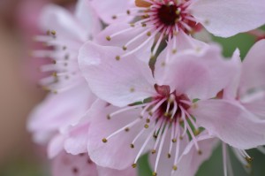 【瑞丽疫情几次了/瑞丽疫情几次了啊】